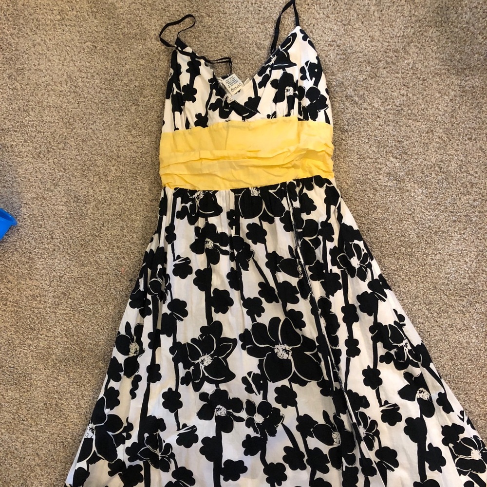 Cotton Max Studio Dress